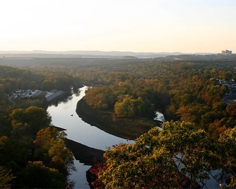 Branson Office Image